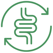 Digestive Support Supplements