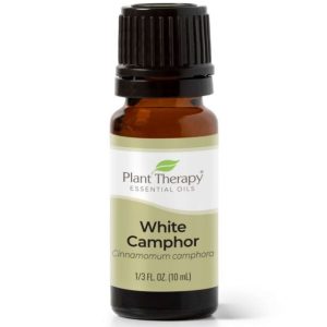 Plant Therapy White Camphor Essential Oil
