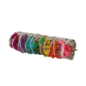 7 Chakras Sage