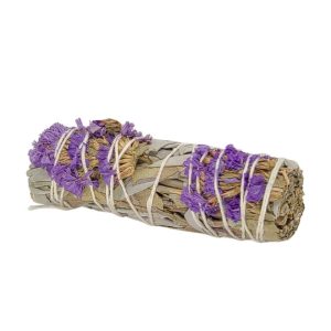 Purple Daze- Main